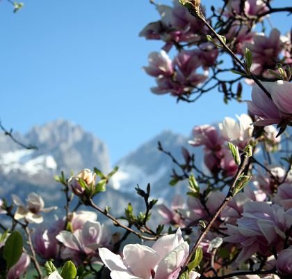 Urlaub in den Bergen